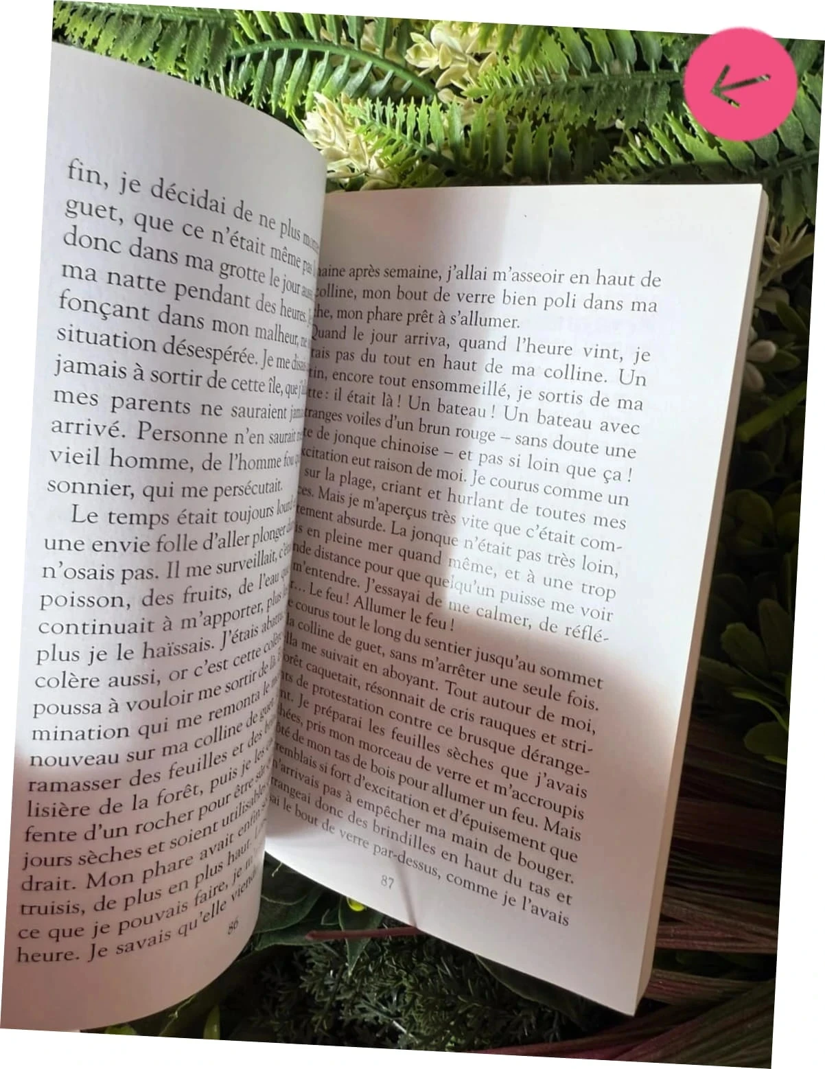Livre le royaume de kenzuke bien servie – photo 3